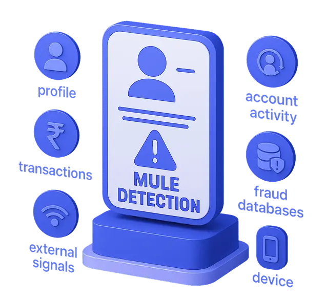 Mule detection illustration